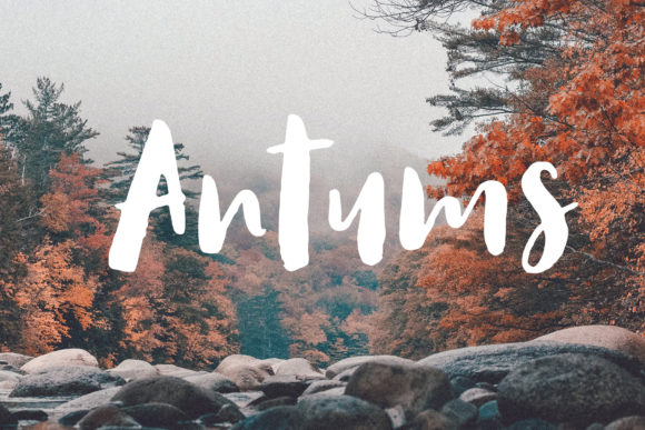 Antums: A Fresh Script Font for Editorial Design