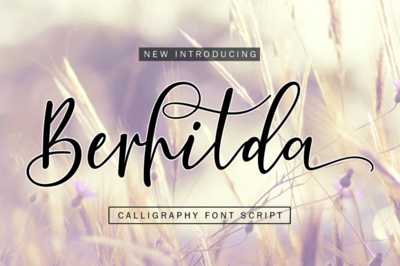 Berhilda Font Review: A Feminine Script for Creative Branding
