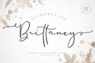 Brittaney Font: A Polished Touch for Small Business Branding