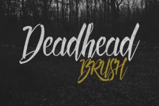 Deadhead Brush Typeface: Elevate Handmade Product Branding
