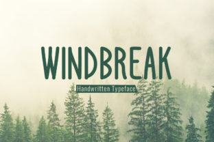 Windbreak Font Review: A Dynamic Typeface for Campaign Design